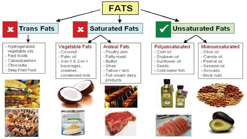 Image itself explain the Human body fat types