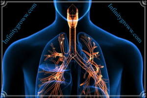 The Respiratory System